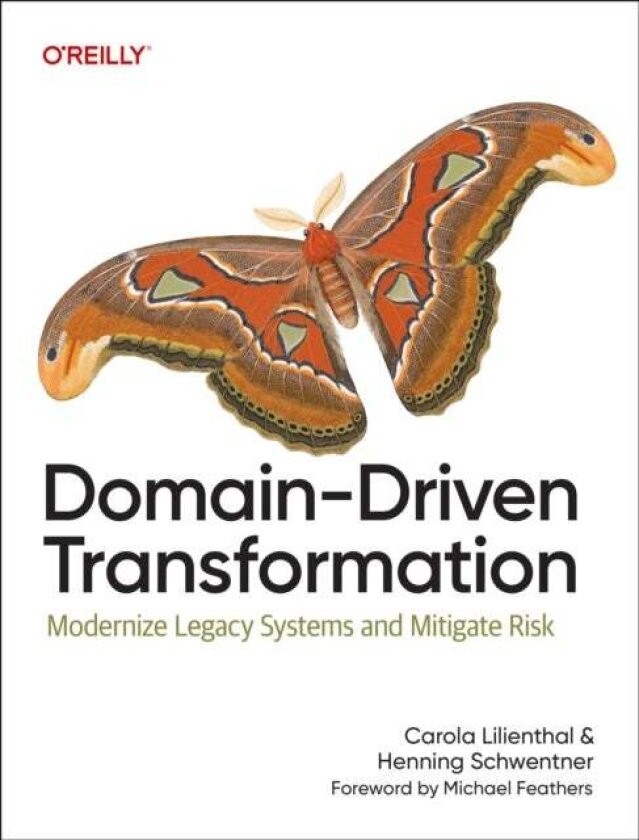 Domain-Driven Transformation av Carola Lilienthal