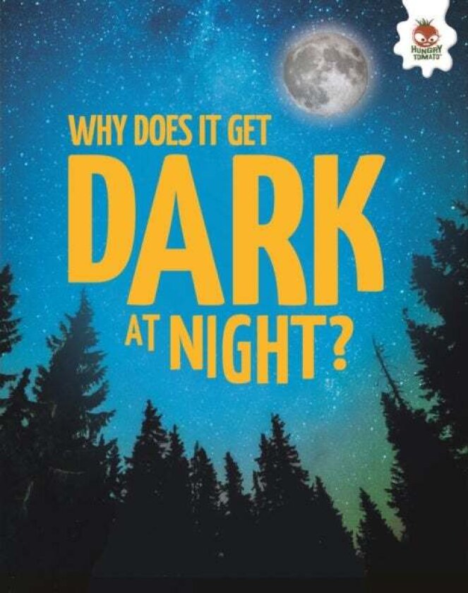Young Science Seekers: Why Does it Get Dark at Night? av Rebecca Storm