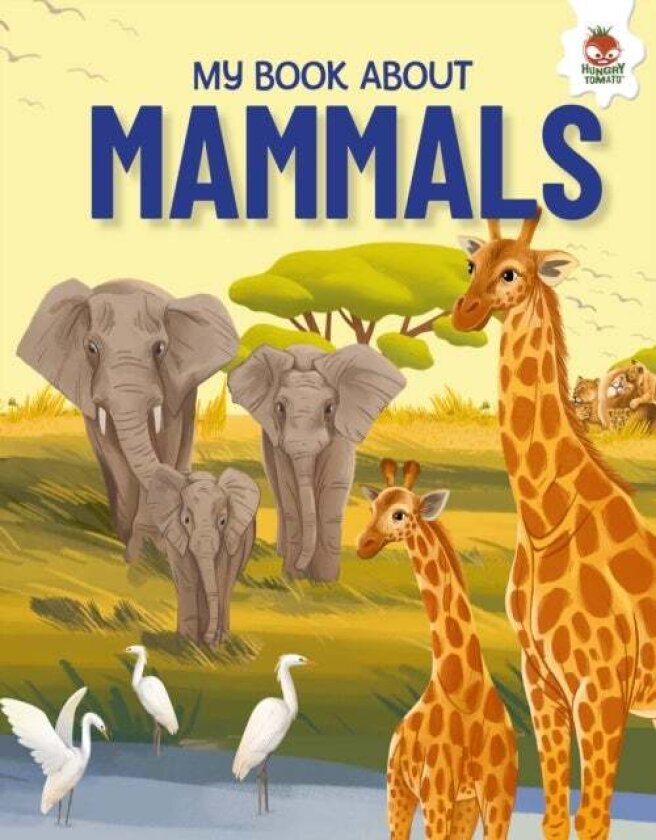 Young Adventurers: My Book About Mammals av Eliza Jeffery