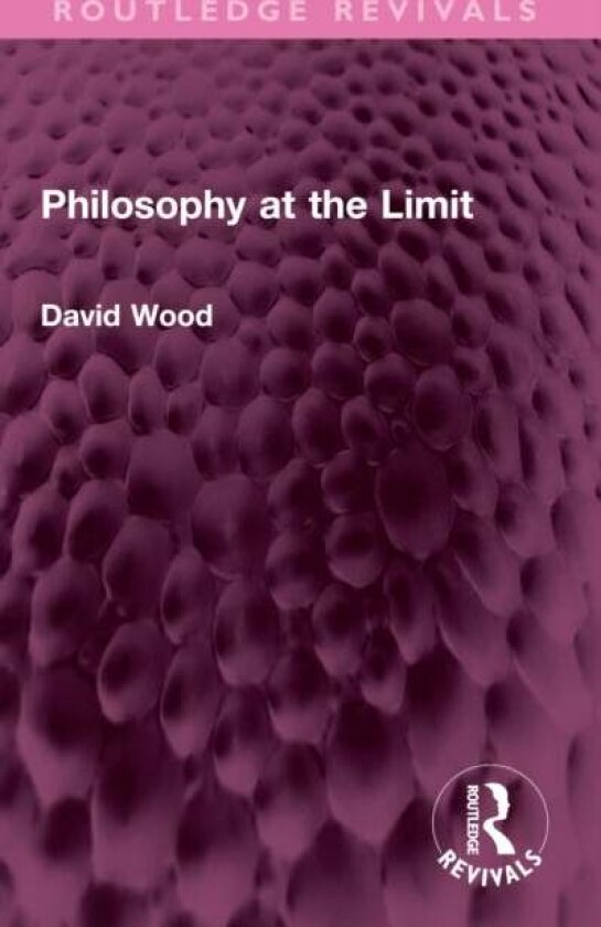 Philosophy at the Limit av David Wood