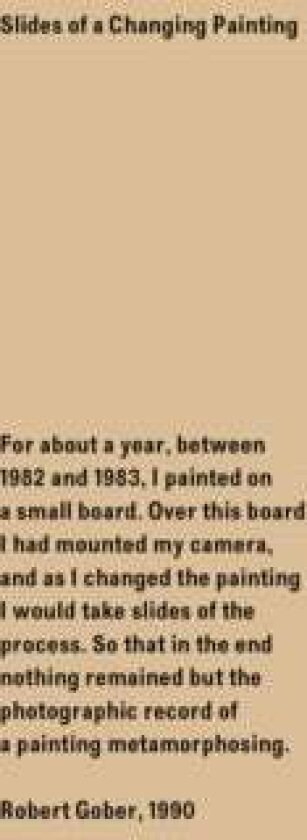 Robert Gober: Slides of a Changing Painting
