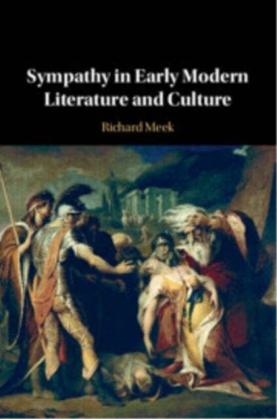 Sympathy in Early Modern Literature and Culture av Richard Meek