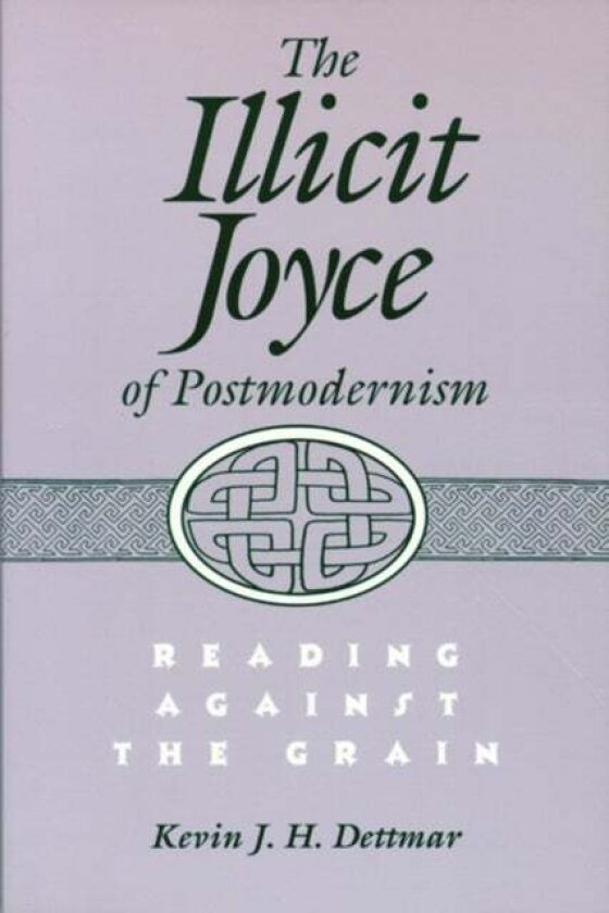 The Illicit Joyce of Postmodernism av University of Wisconsin Press