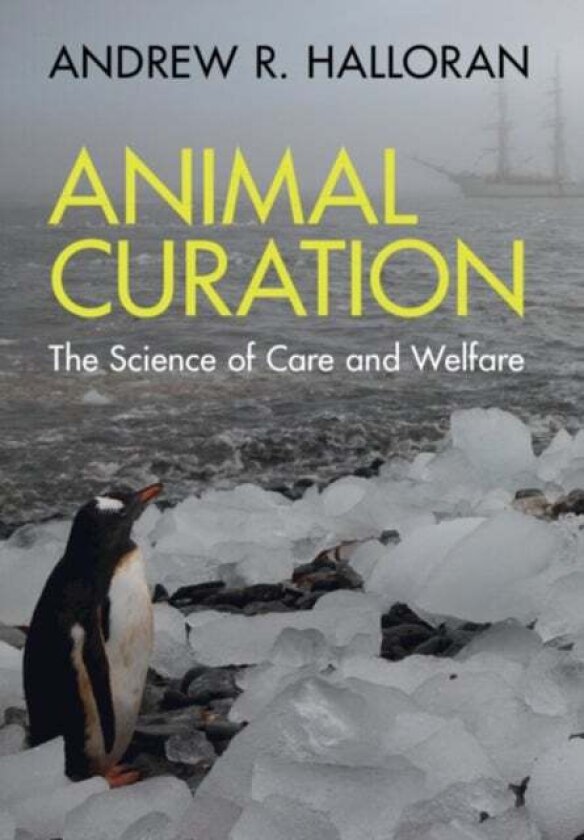 Animal Curation av Andrew R. Halloran