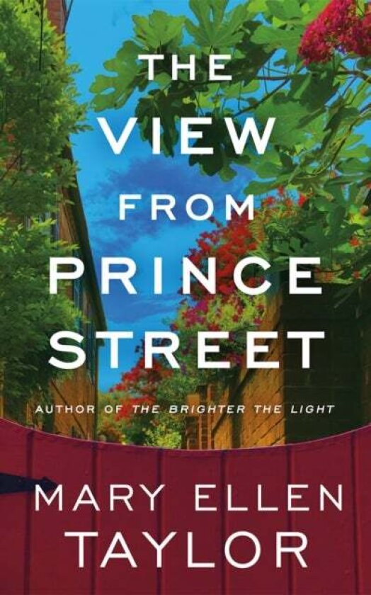 The View from Prince Street av Mary Ellen Taylor