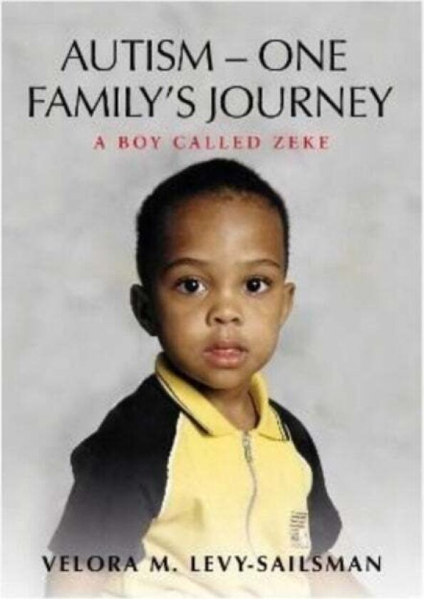 AUTISM - ONE FAMILY'S JOURNEY av Velora M Levy - Sailsman