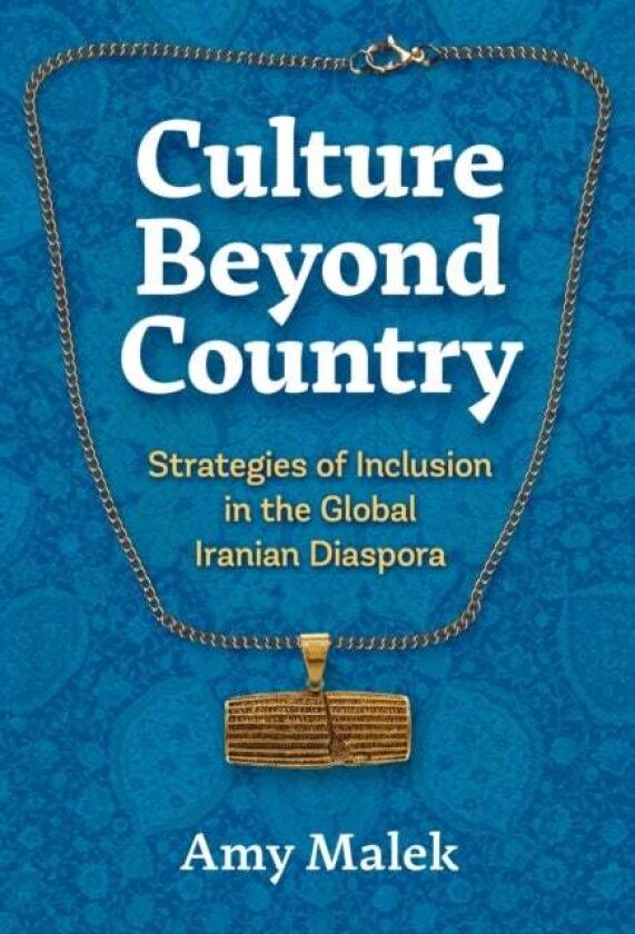 Culture Beyond Country av Amy Malek