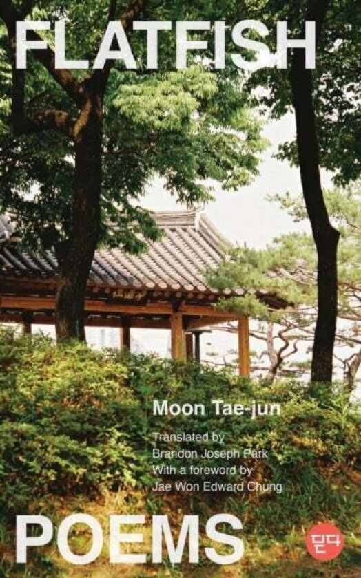 Flatfish av Moon Tae-jun