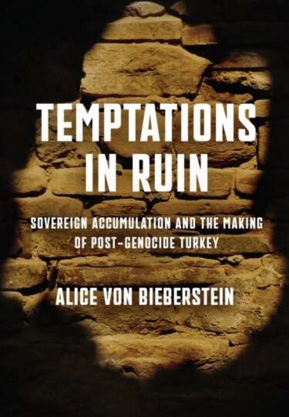 Temptations in Ruin av Alice von Bieberstein