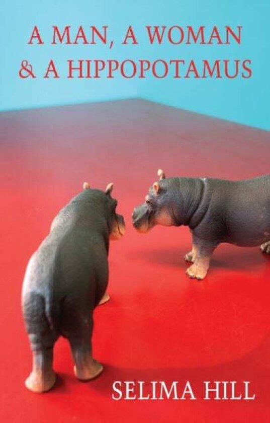 A Man, a Woman & a Hippopotamus av Selima Hill