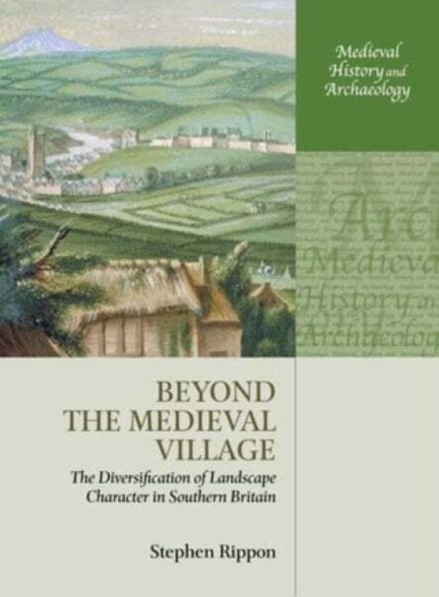 Beyond the Medieval Village av Stephen Rippon