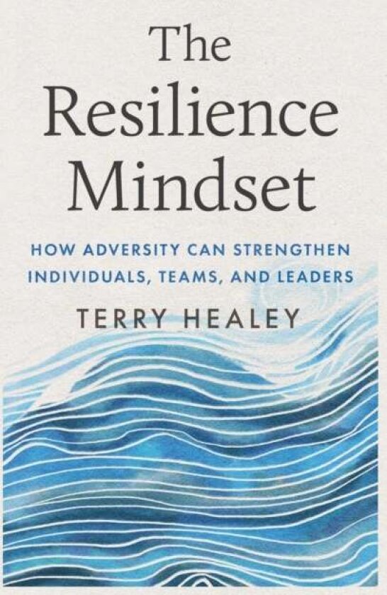 The Resilience Mindset av Terry Healey