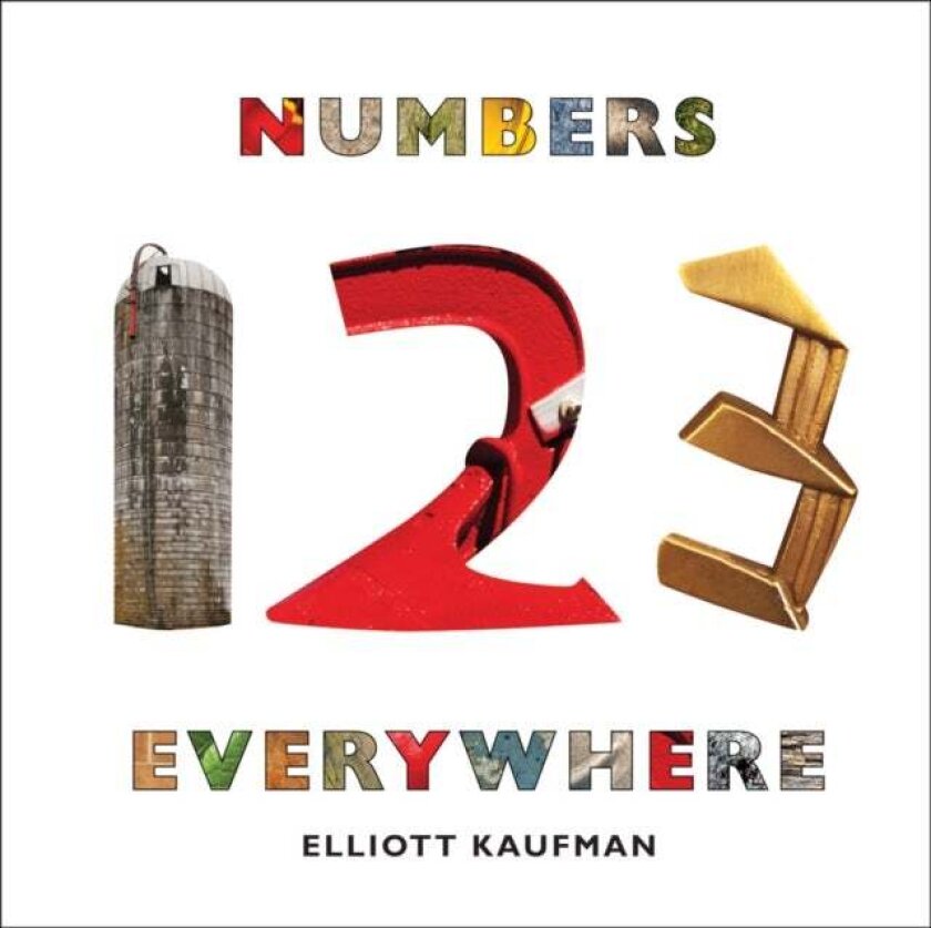 Numbers Everywhere av Elliott Kaufman