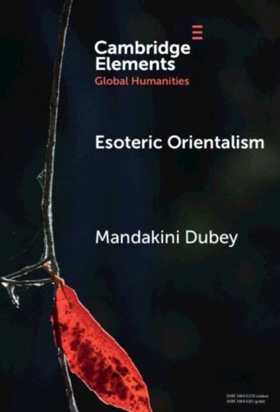 Esoteric Orientalism av Mandakini Dubey