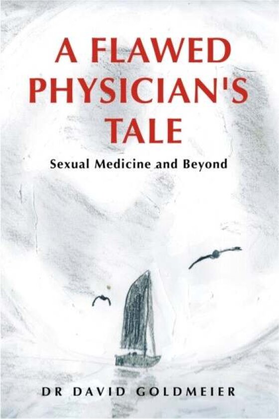 A Flawed Physician's Tale av Dr David Goldmeier