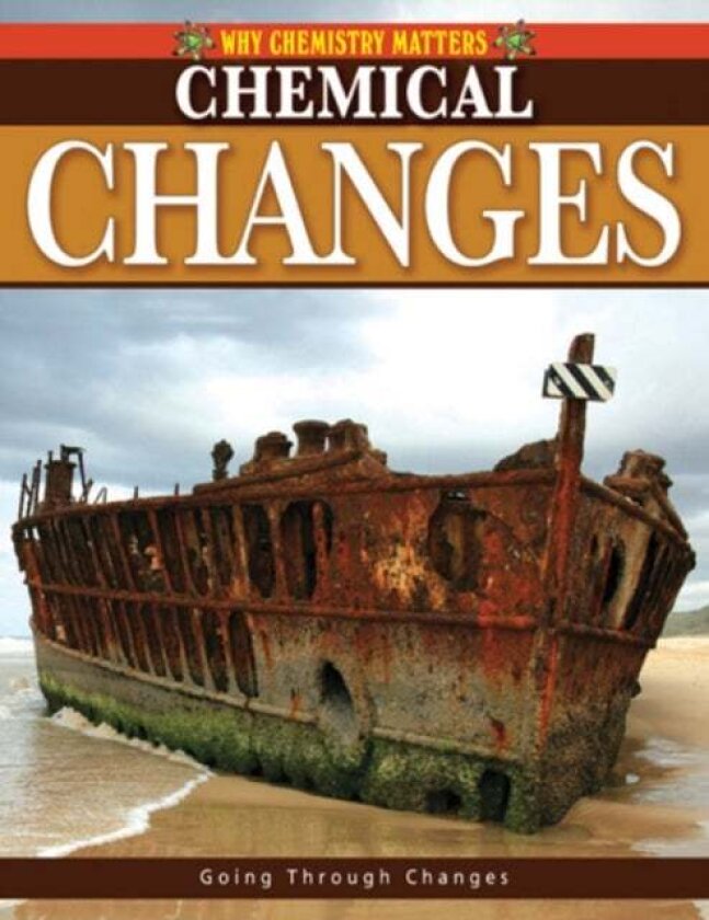 Chemical Changes av Lynette Brent