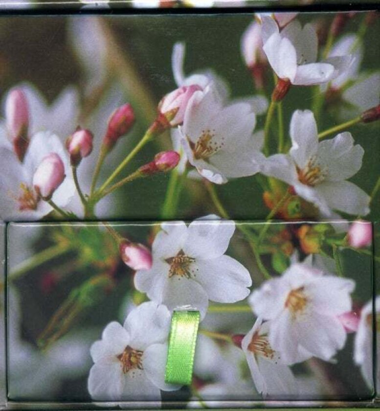 Memo Block Cherry Blossom av Peony Press