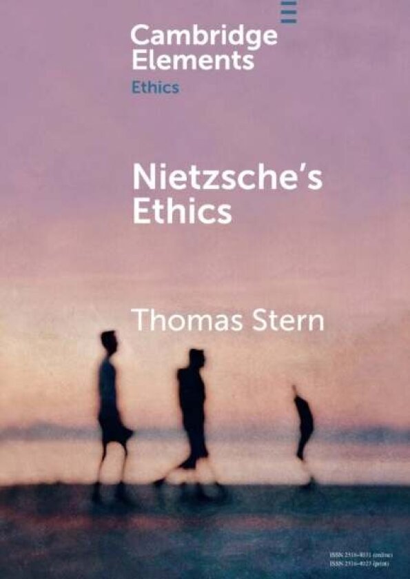 Nietzsche's Ethics av Thomas Stern