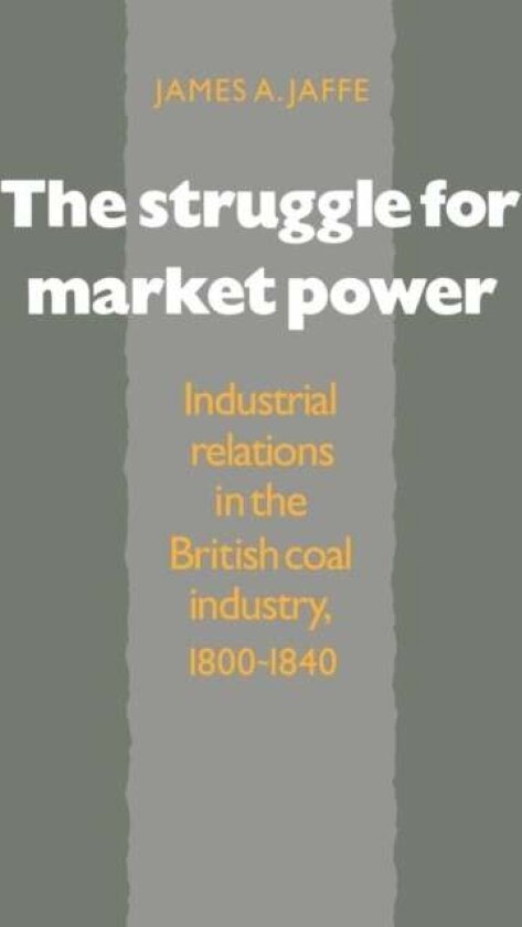 The Struggle for Market Power av James Alan Jaffe