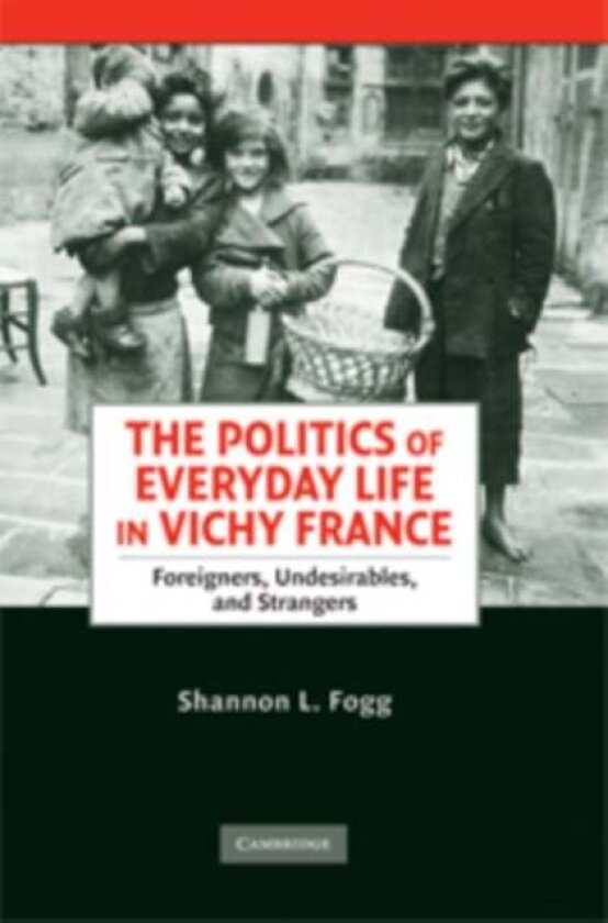 The Politics of Everyday Life in Vichy France av Shannon L. Fogg