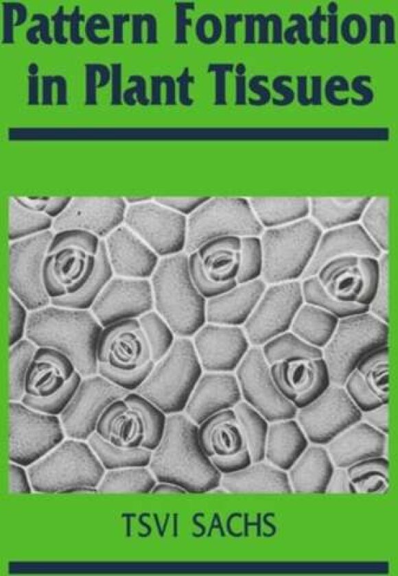 Pattern Formation in Plant Tissues av Tsvi Sachs