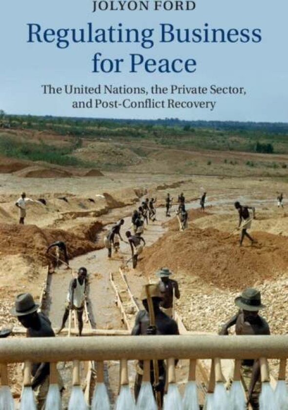 Regulating Business for Peace av Jolyon Ford