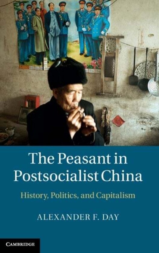The Peasant in Postsocialist China av Alexander F. Day