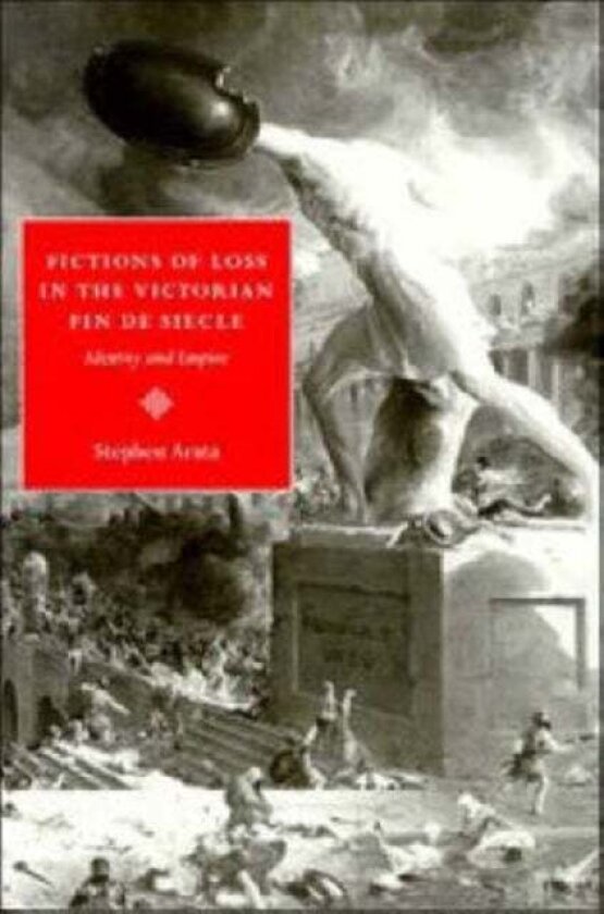 Fictions of Loss in the Victorian Fin de Siecle av Stephen Arata