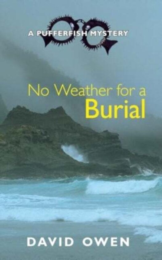 No Weather for a Burial av David Owen