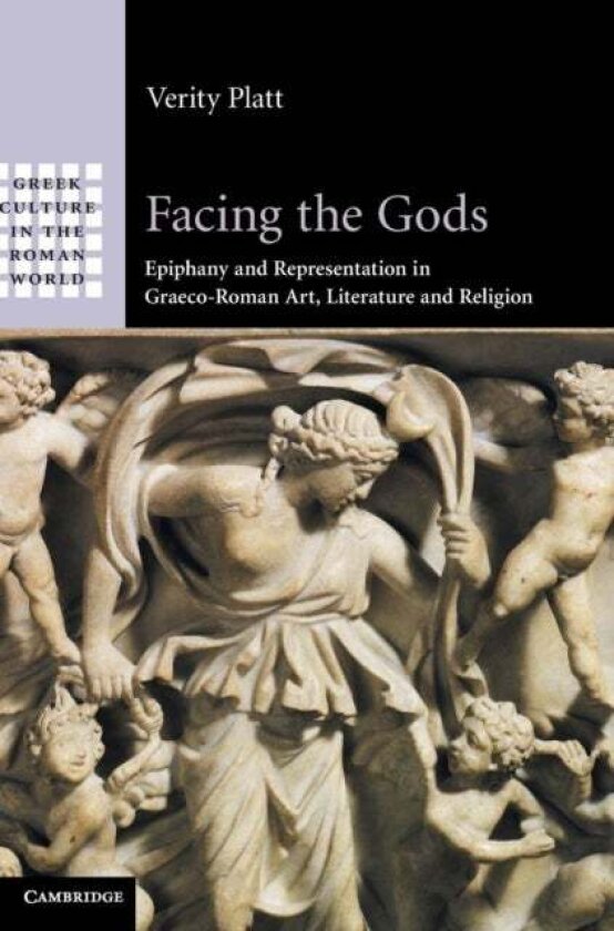 Facing the Gods av Verity Platt