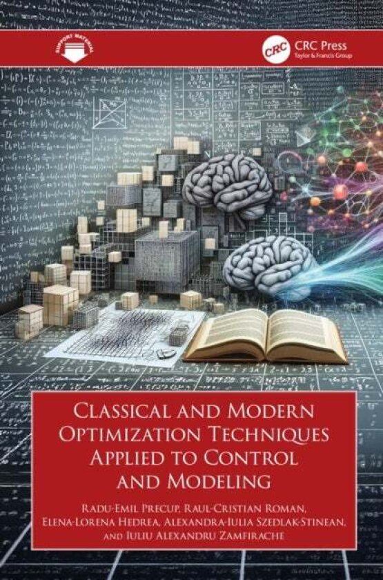 Classical and Modern Optimization Techniques Applied to Control and Modeling av Alexandra-Iulia Szedlak-Stinean
