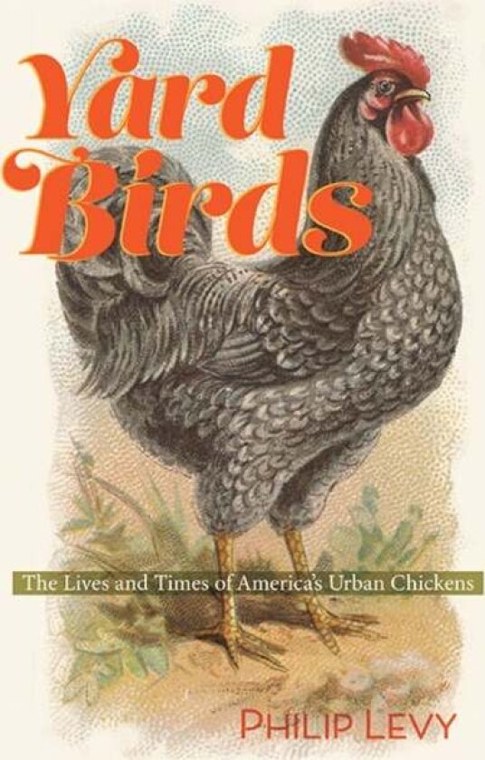 Yard Birds av Philip Levy