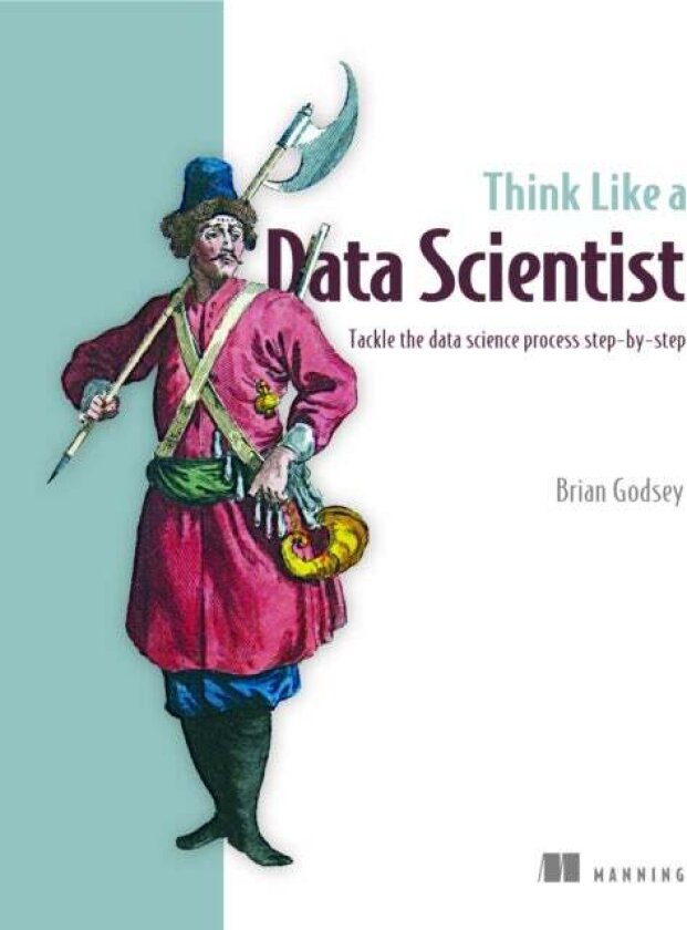 Think Like a Data Scientist av Brian Godsey