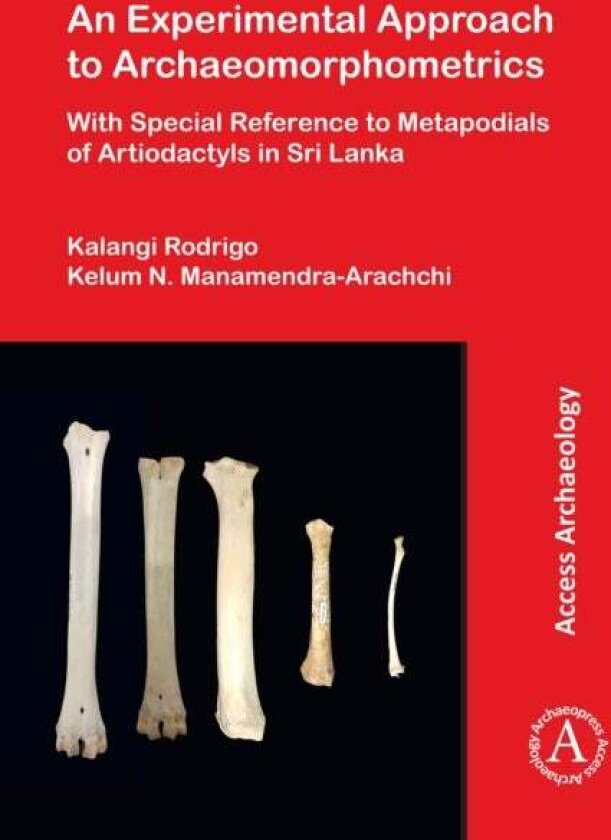 An Experimental Approach to Archaeomorphometrics av Kalangi Rodrigo