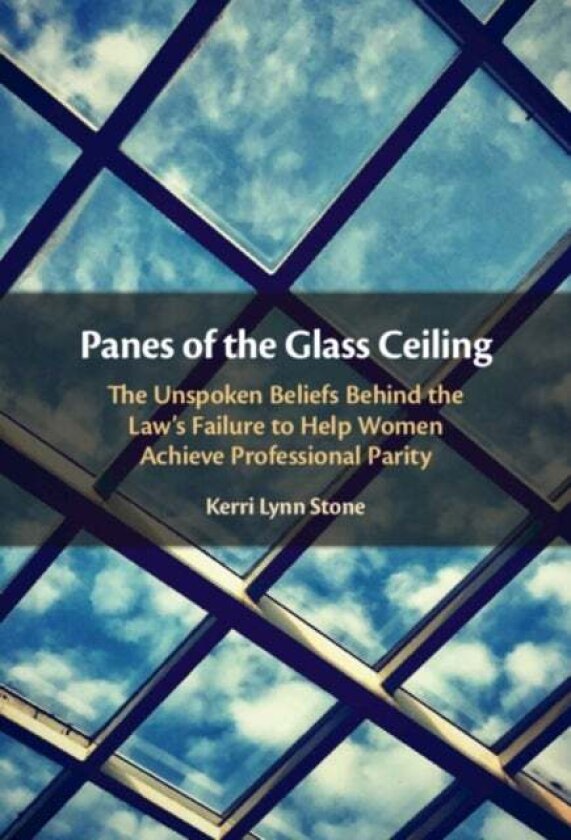 Panes of the Glass Ceiling av Kerri Lynn Stone