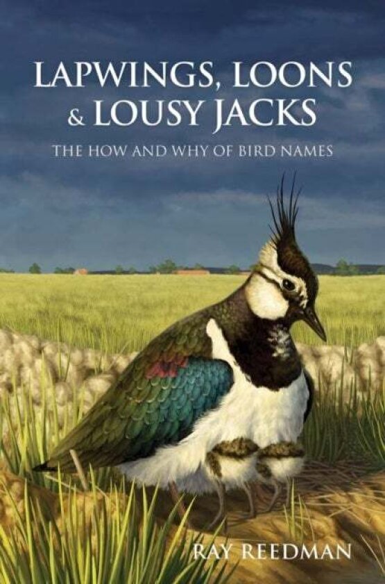 Lapwings, Loons and Lousy Jacks av Ray Reedman