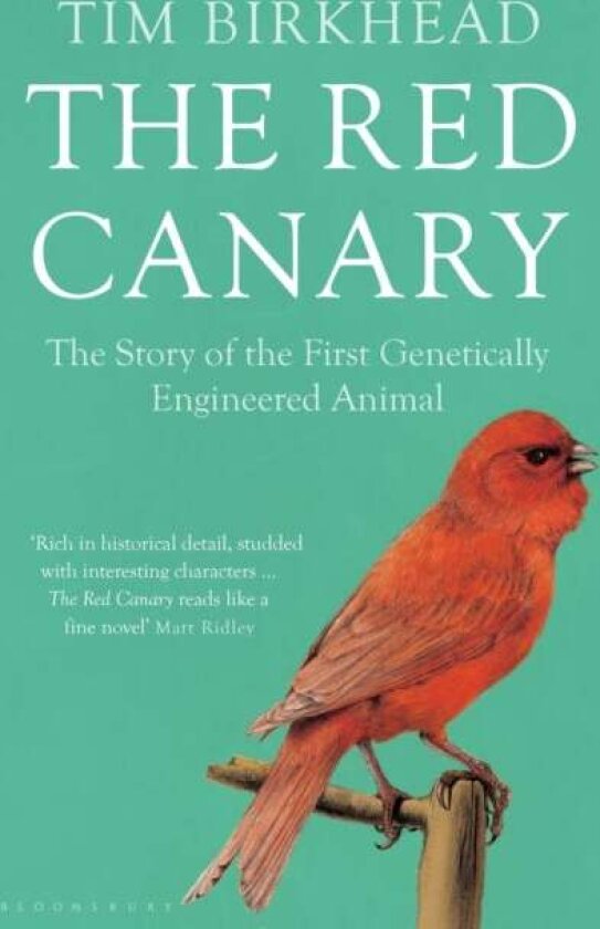 The Red Canary av Tim Birkhead