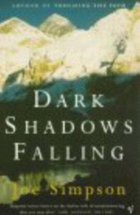 Dark Shadows Falling av Joe Simpson
