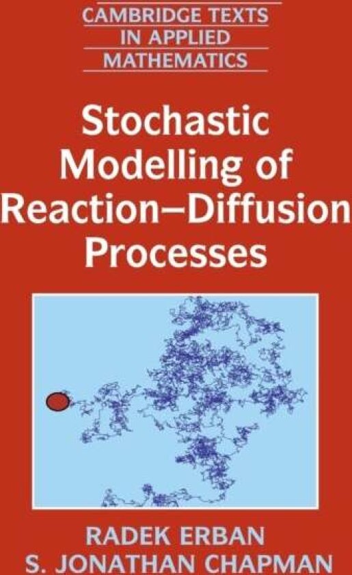 Stochastic Modelling of Reaction-Diffusion Processes av Radek Erban