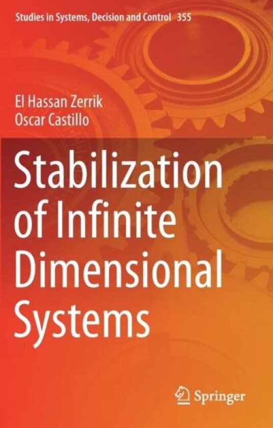 Stabilization of Infinite Dimensional Systems av El Hassan Zerrik
