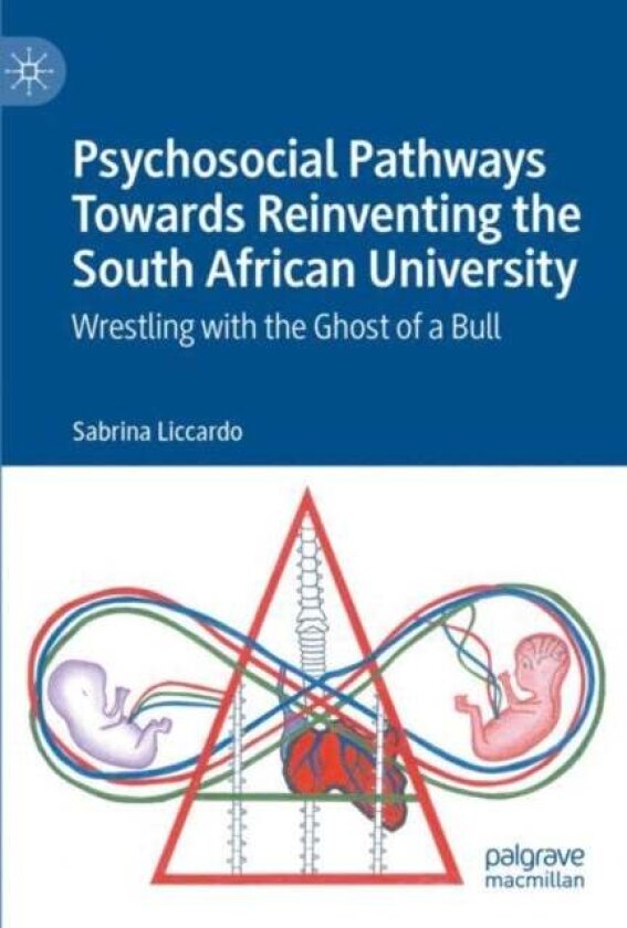 Psychosocial Pathways Towards Reinventing the South African University av Sabrina Liccardo