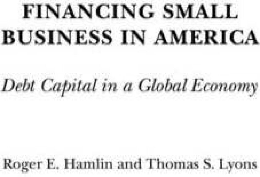 Financing Small Business in America av Roger E. Hamlin