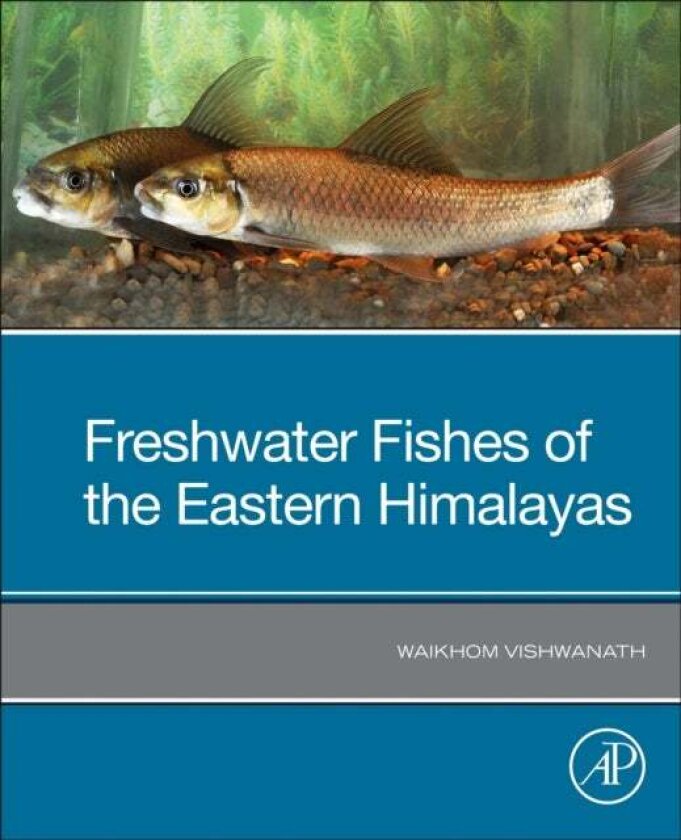 Freshwater Fishes of the Eastern Himalayas av Waikhom Vishwanath