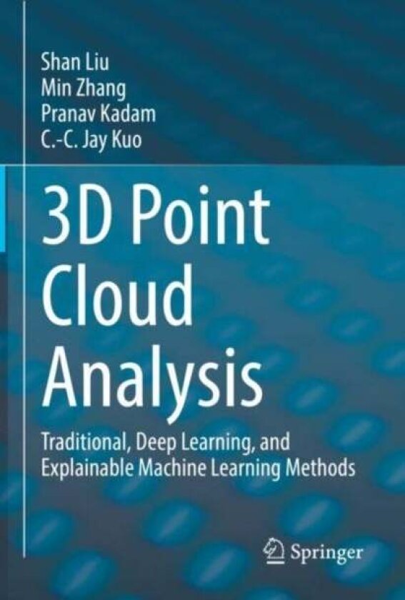 3D Point Cloud Analysis av C.-C. Jay Kuo