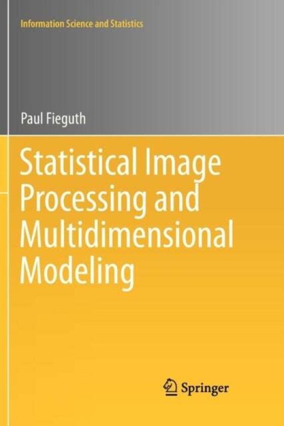 Statistical Image Processing and Multidimensional Modeling av Paul Fieguth