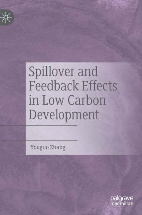 Spillover and Feedback Effects in Low Carbon Development av Youguo Zhang