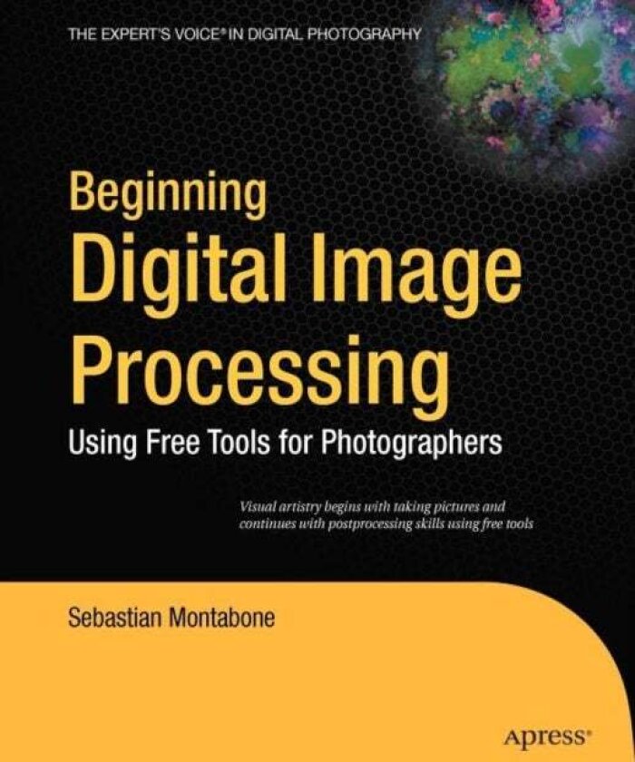 Beginning Digital Image Processing av Sebastian Montabone