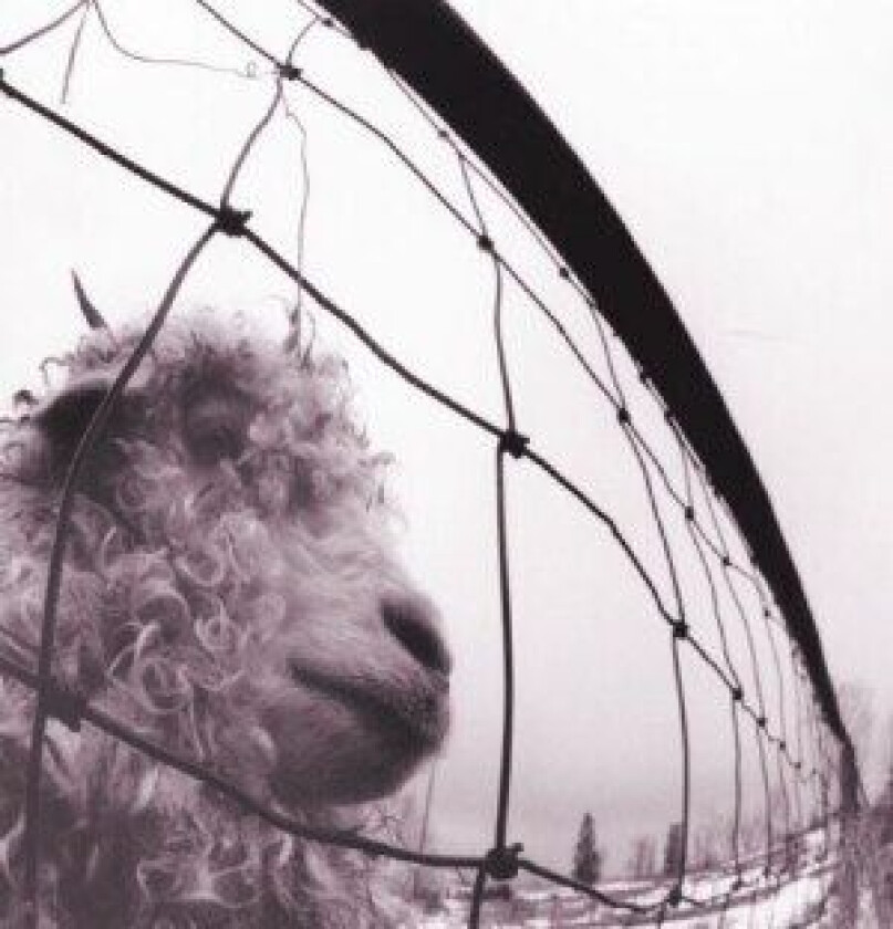 Pearl Jam - Vs. (Remastered)