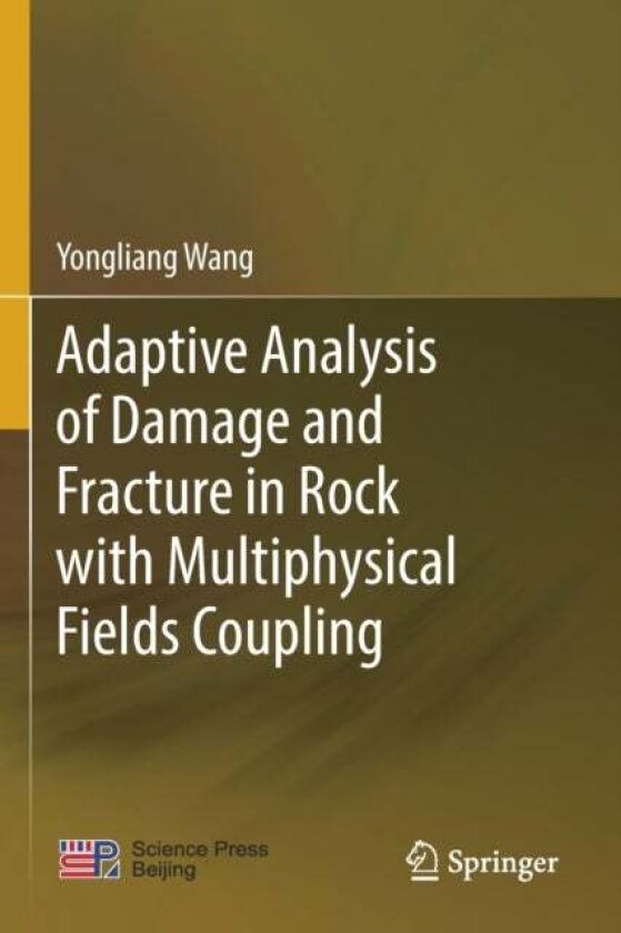 Adaptive Analysis of Damage and Fracture in Rock with Multiphysical Fields Coupling av Yongliang Wang
