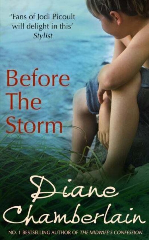 Before The Storm av Diane Chamberlain
